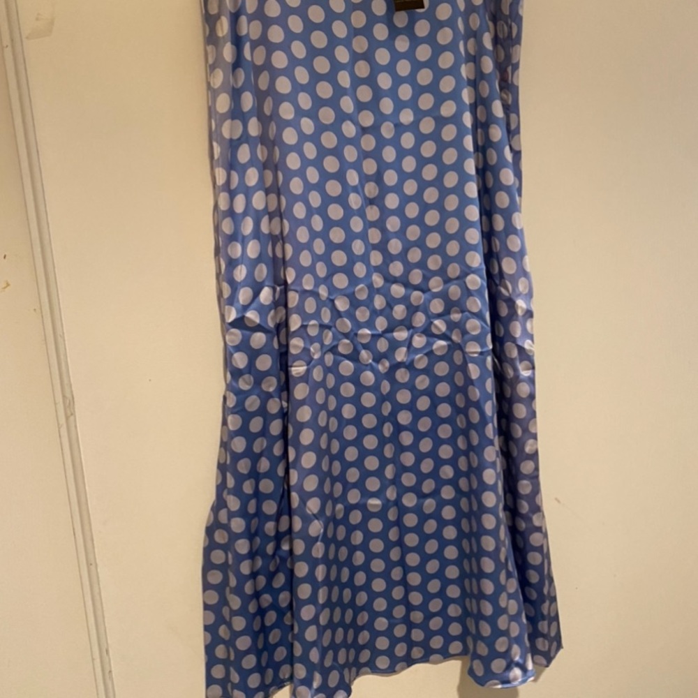 Silk polka dot maxi skirt